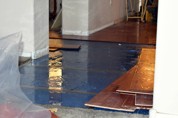 Professional Water Damage Restoration technician working in Central City, NE